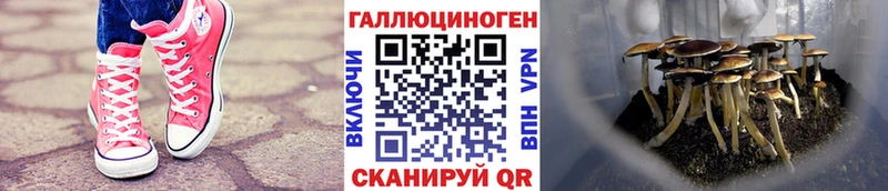 Галлюциногенные грибы мухоморы  купить закладку  Иноземцево 